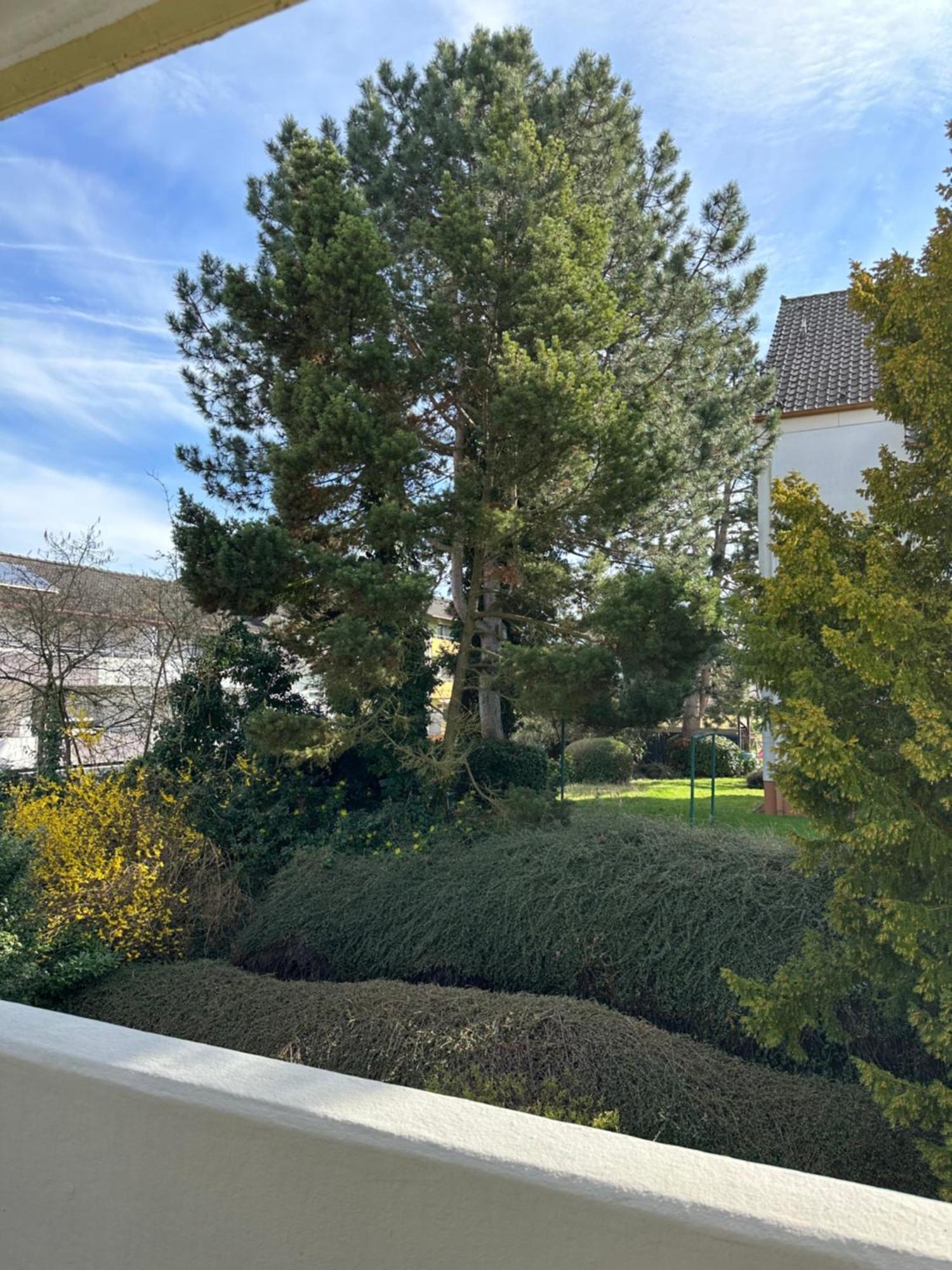 Ferienwohnung Oase Am Schwimmbad Bad Bergzabern Exterior foto